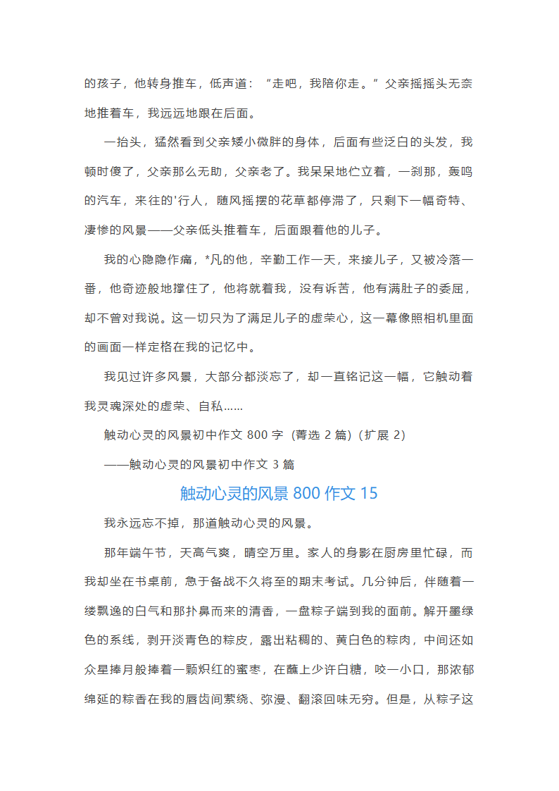 触动心灵的风景800作文第22页