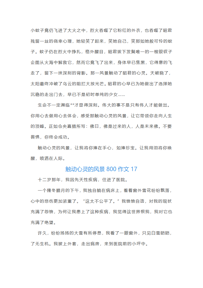 触动心灵的风景800作文第25页