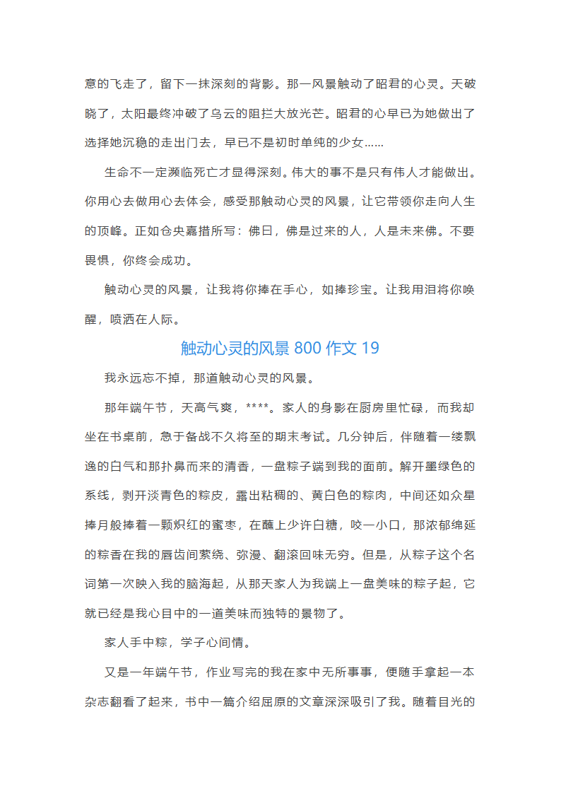 触动心灵的风景800作文第28页