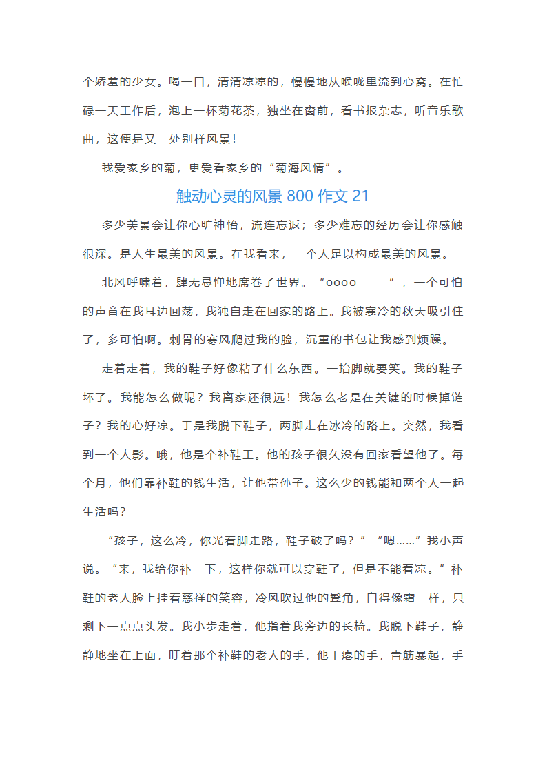 触动心灵的风景800作文第31页