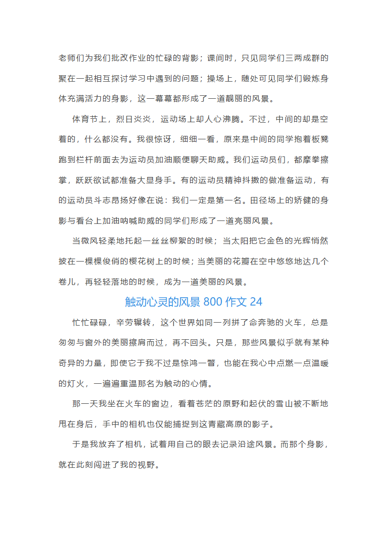 触动心灵的风景800作文第35页
