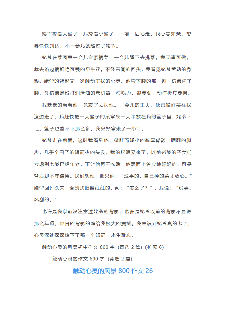 触动心灵的风景800作文第38页