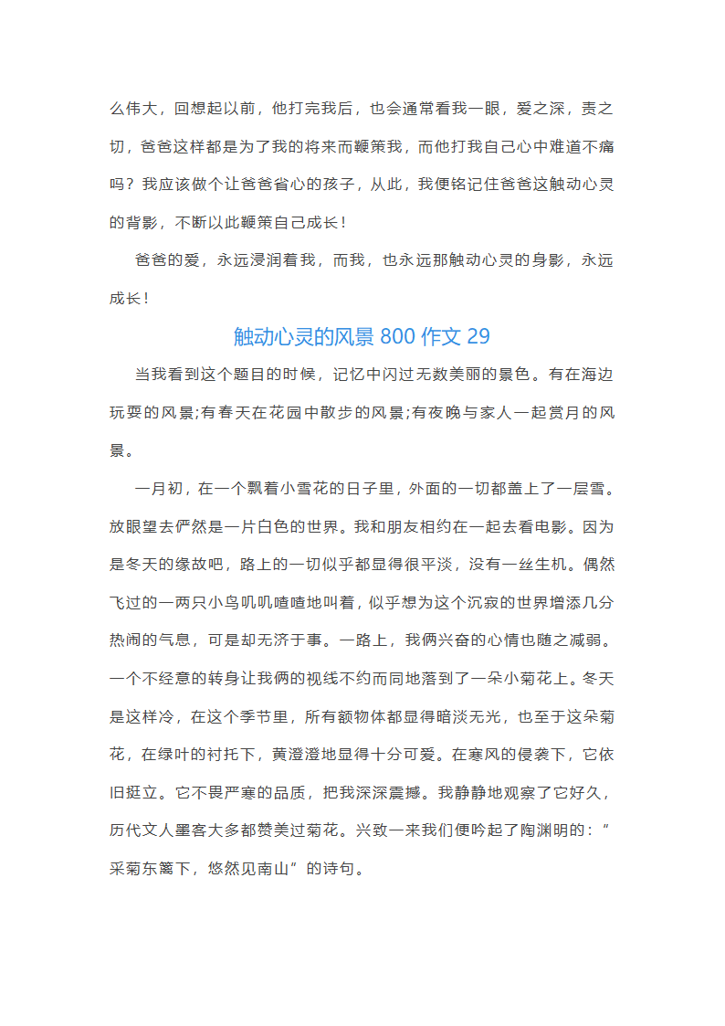 触动心灵的风景800作文第43页