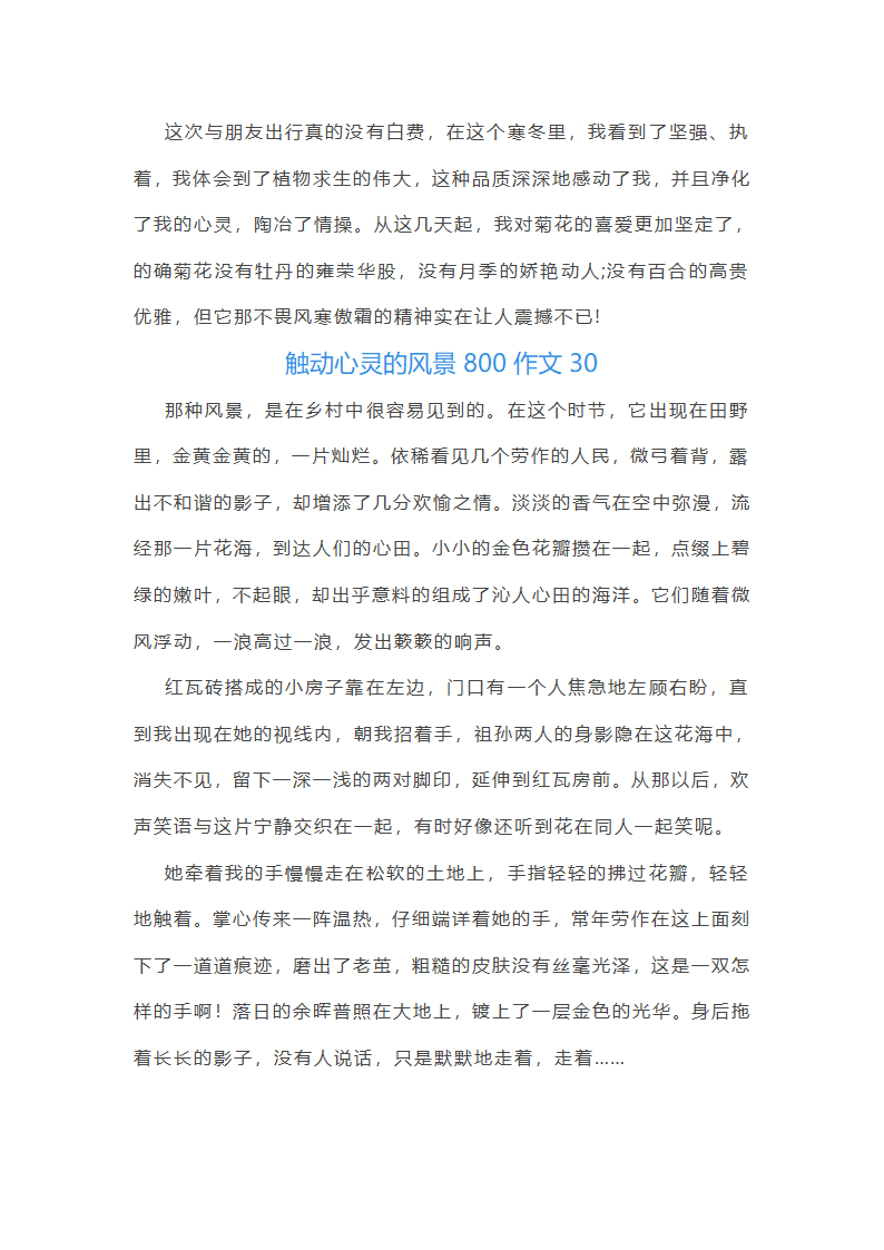触动心灵的风景800作文第44页