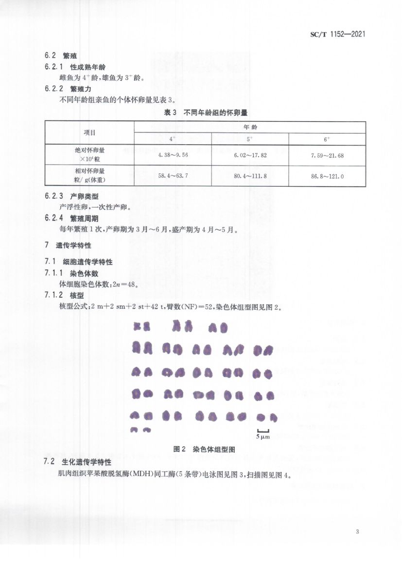 高体革鯻SCT1152-2021第7页