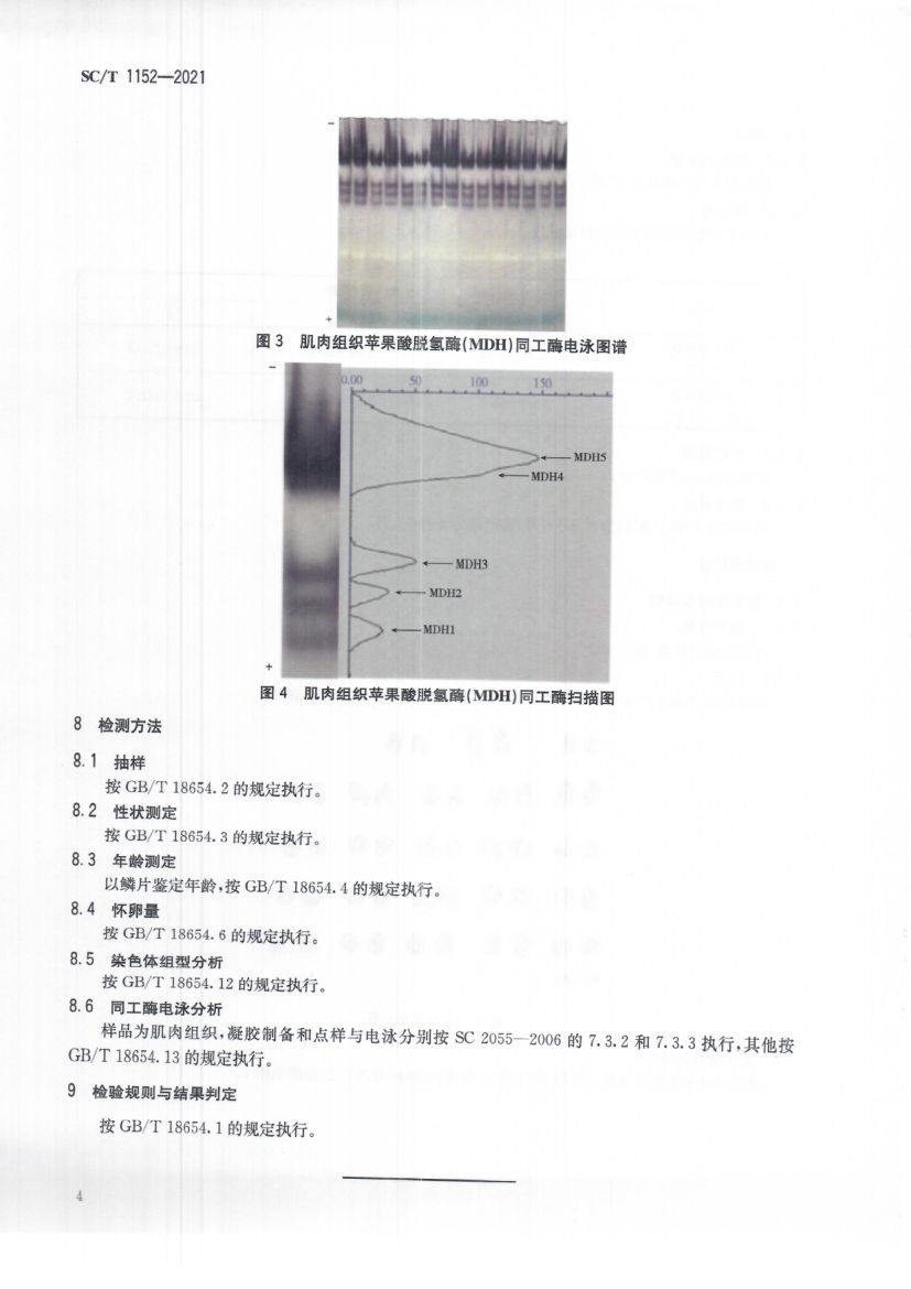高体革鯻SCT1152-2021第8页