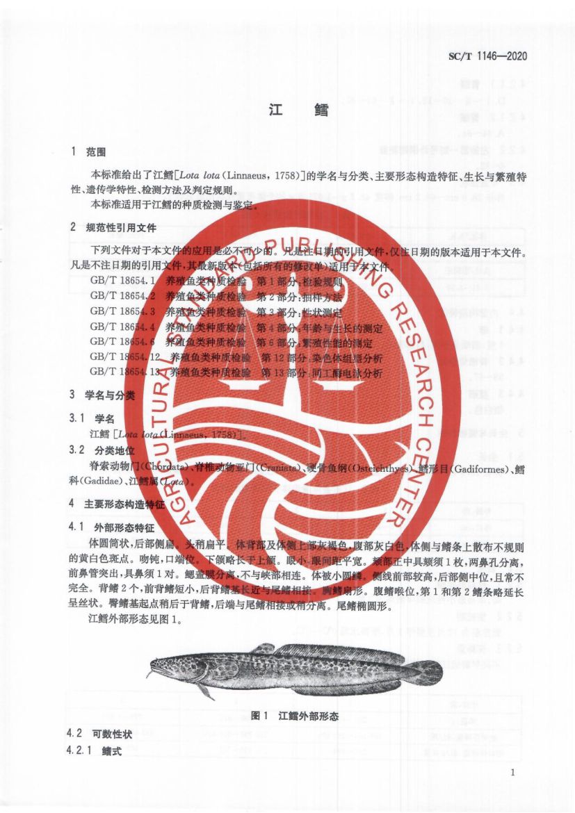 江鳕SCT1146-2020第3页