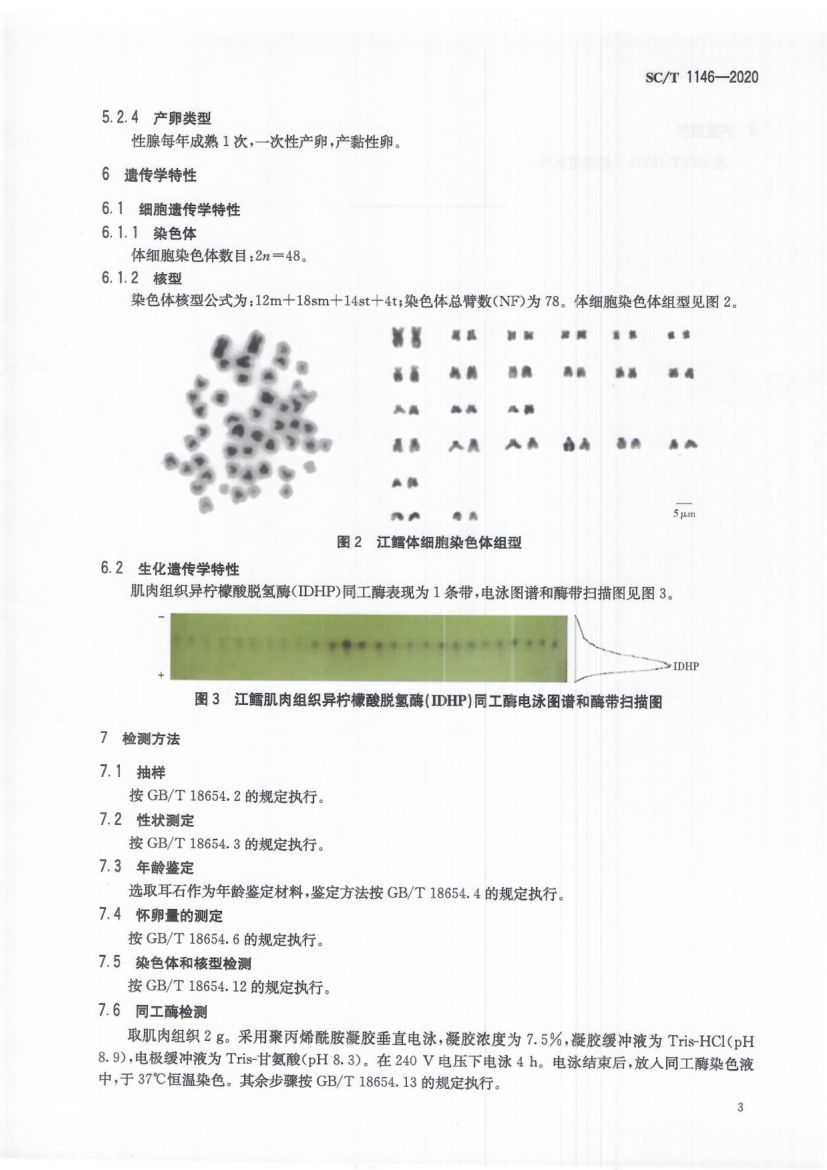 江鳕SCT1146-2020第5页