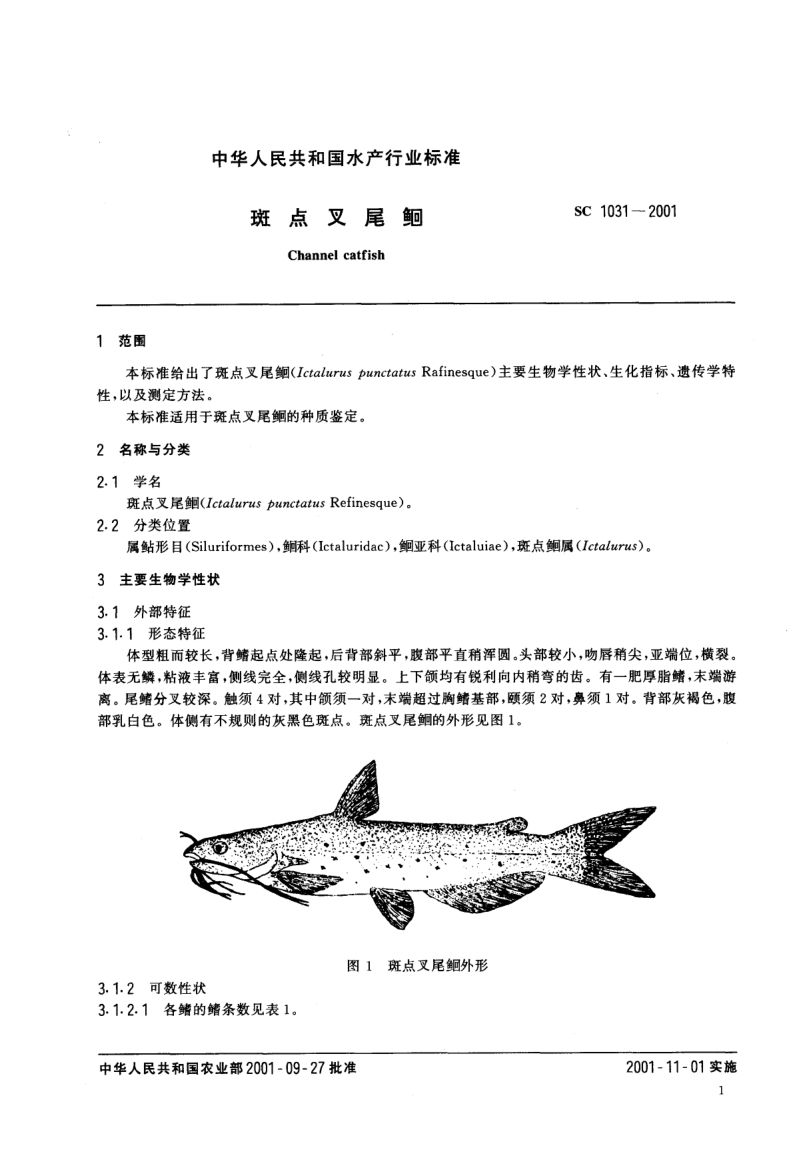 斑点叉尾鮰SC1031-2001第3页