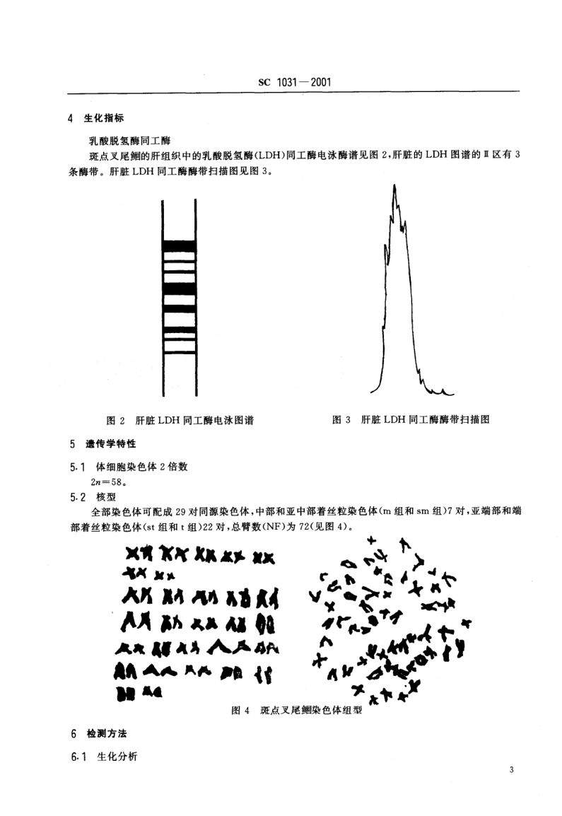 斑点叉尾鮰SC1031-2001第5页