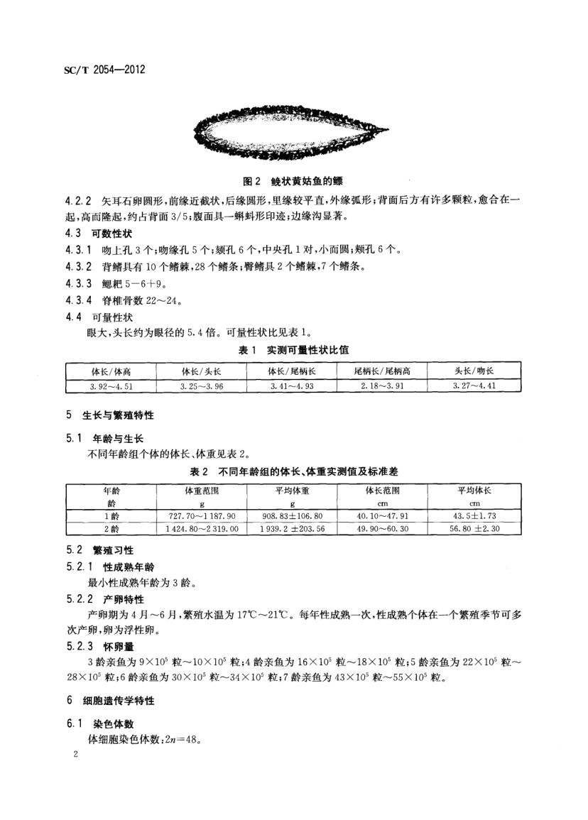 鮸状黄姑鱼SCT2054-2012第4页