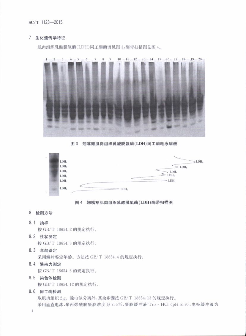 翘嘴SCT1123-2015第6页