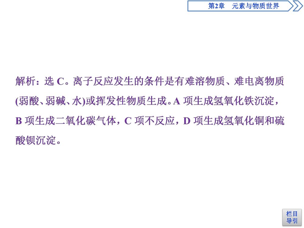 《离子反应 》教学课件第8页