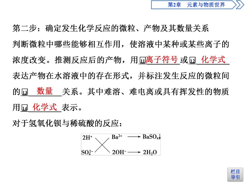 《离子反应 》教学课件第13页