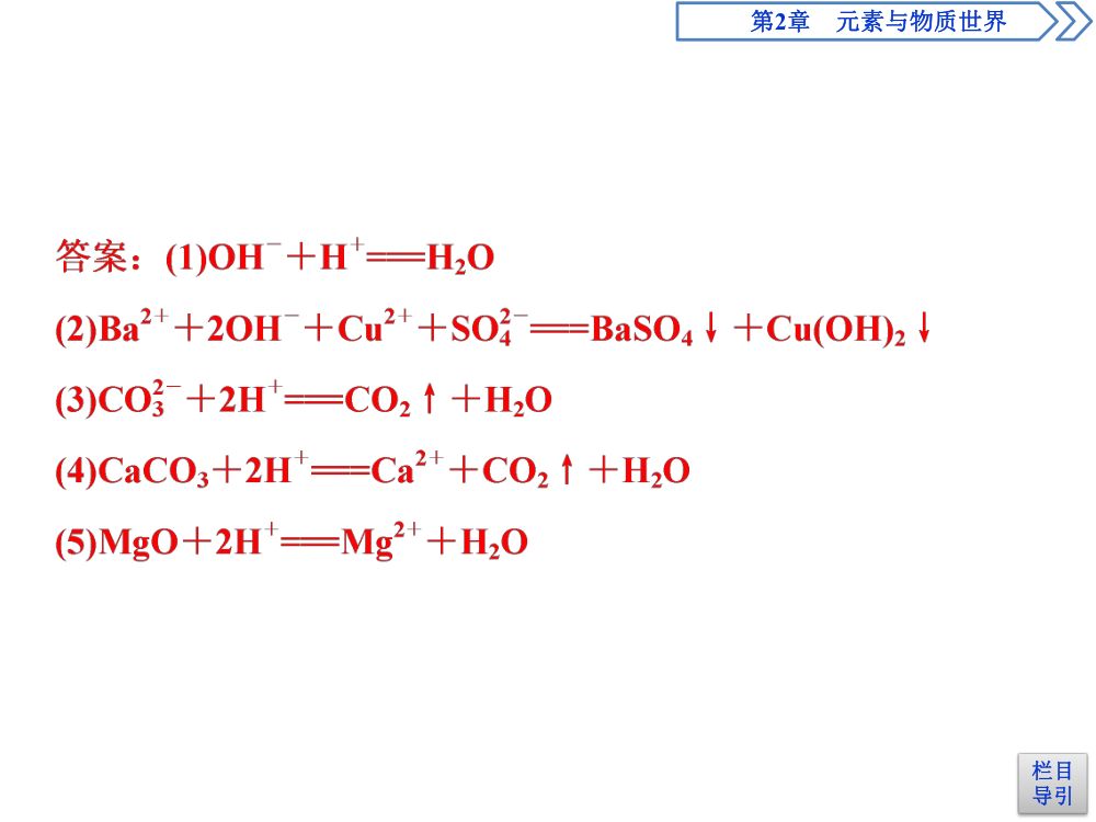 《离子反应 》教学课件第25页