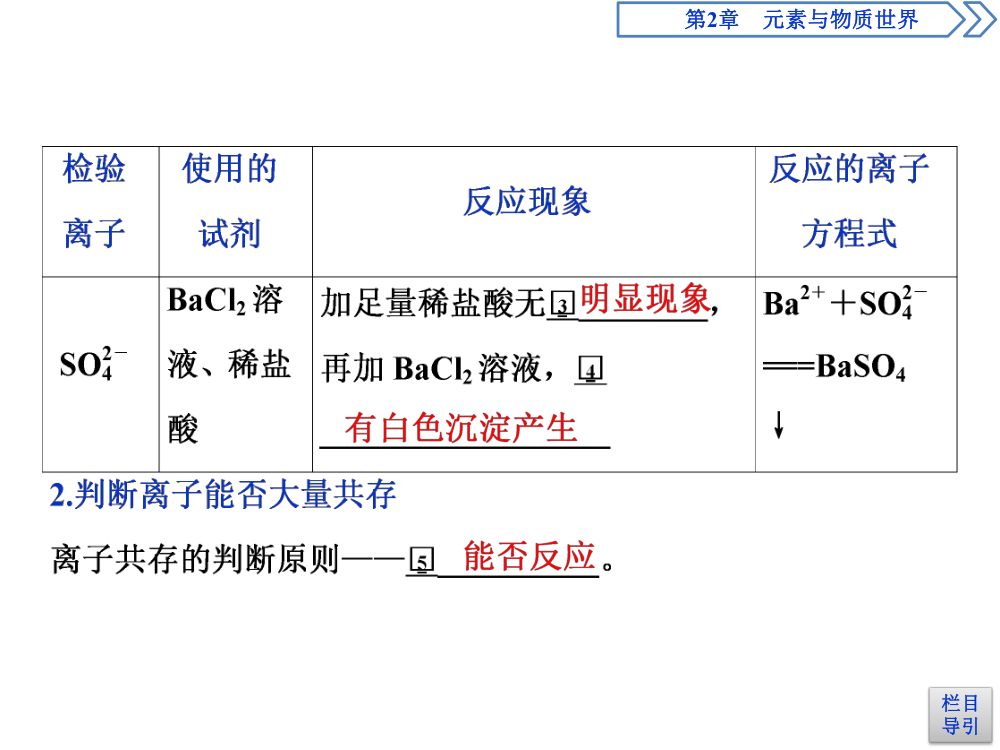《离子反应 》教学课件第31页