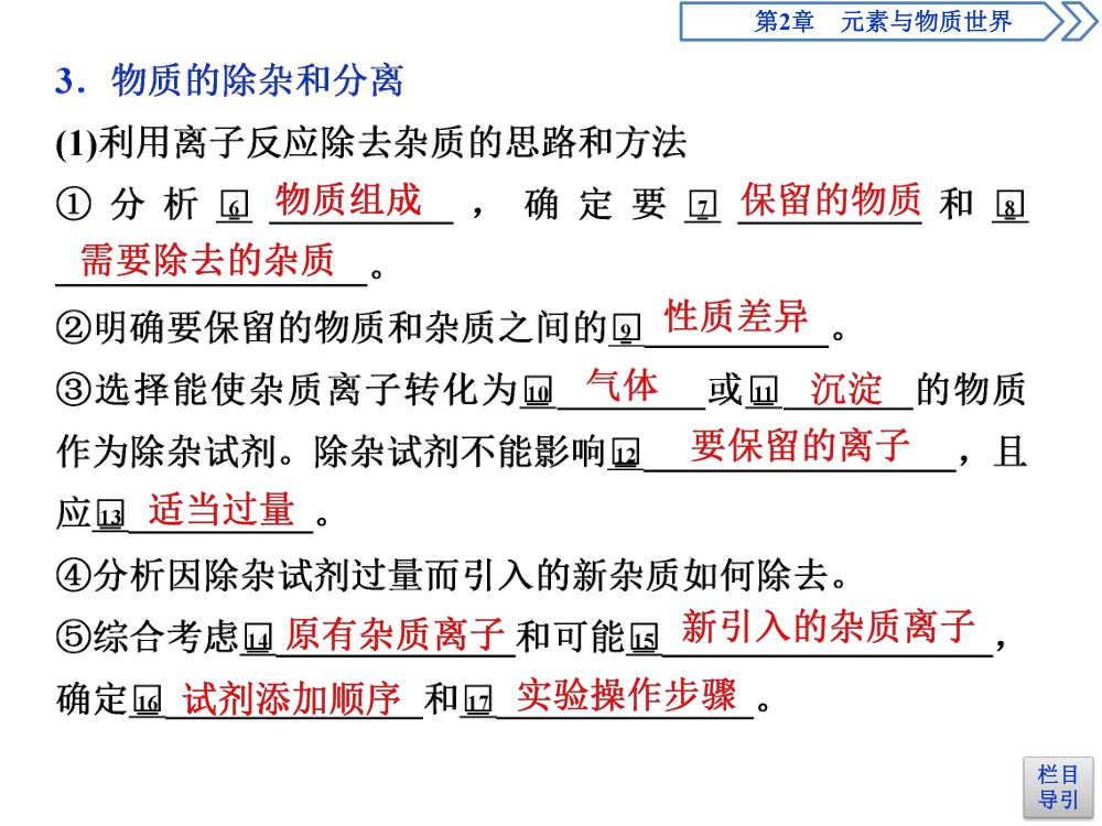 《离子反应 》教学课件第32页