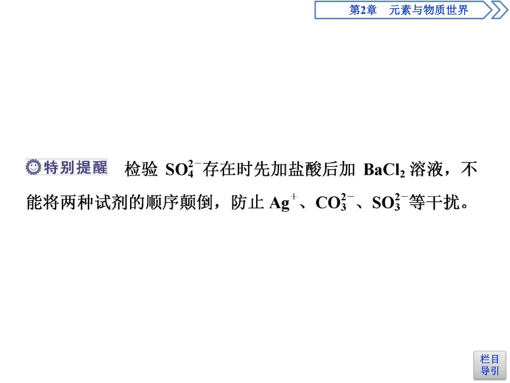 《离子反应 》教学课件第36页