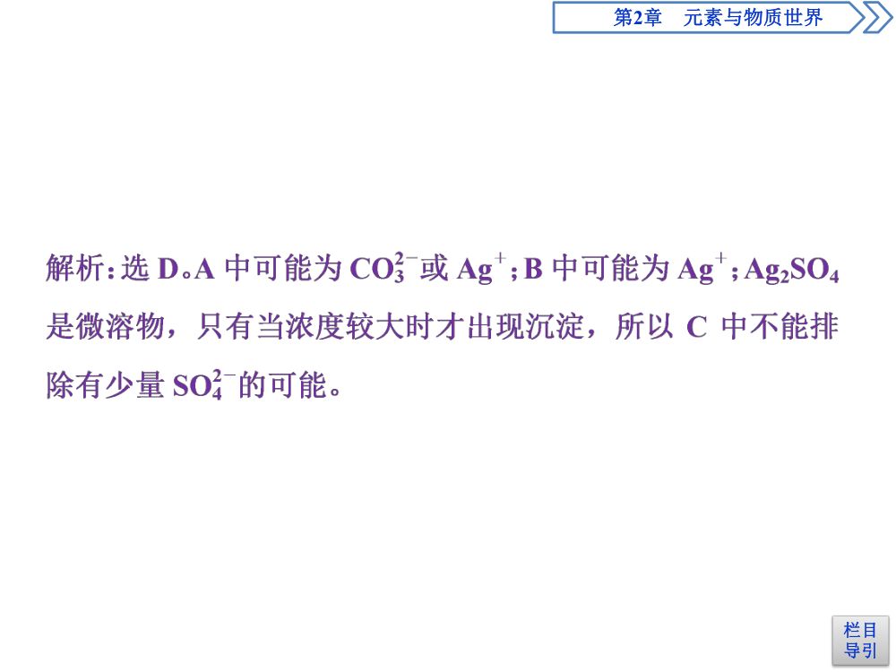 《离子反应 》教学课件第40页