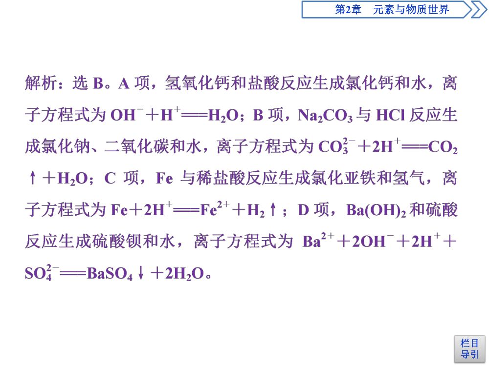 《离子反应 》教学课件第46页