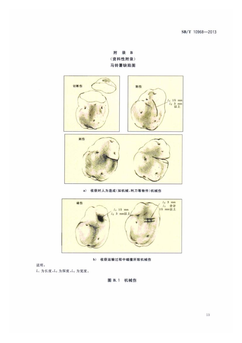 加工用马铃薯流通规范SBT10968-2013第16页