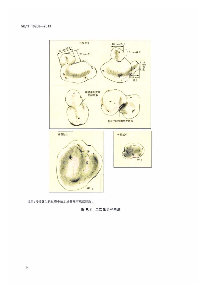 加工用马铃薯流通规范SBT10968-2013第17页