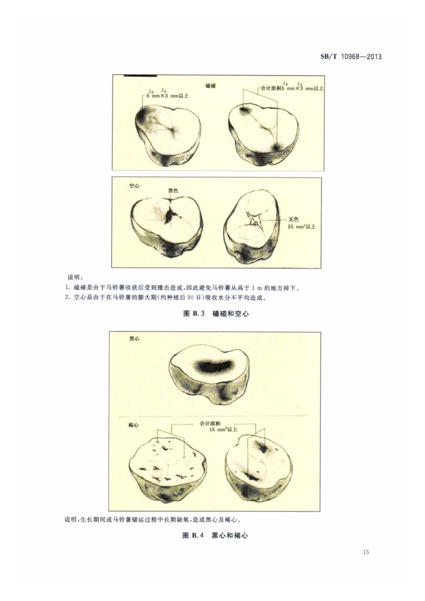 加工用马铃薯流通规范SBT10968-2013第18页