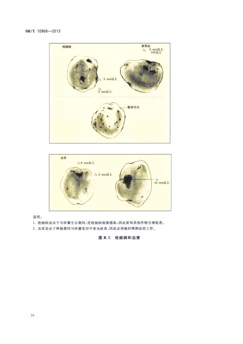 加工用马铃薯流通规范SBT10968-2013第19页
