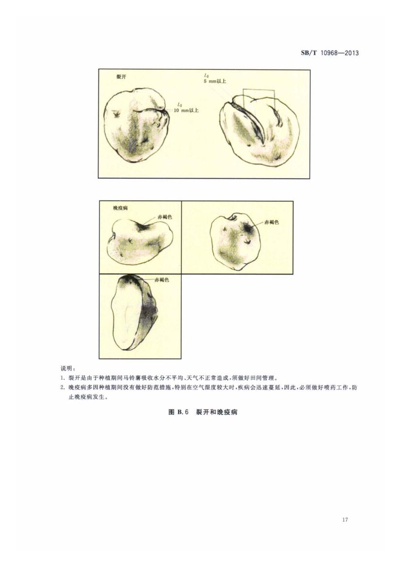 加工用马铃薯流通规范SBT10968-2013第20页