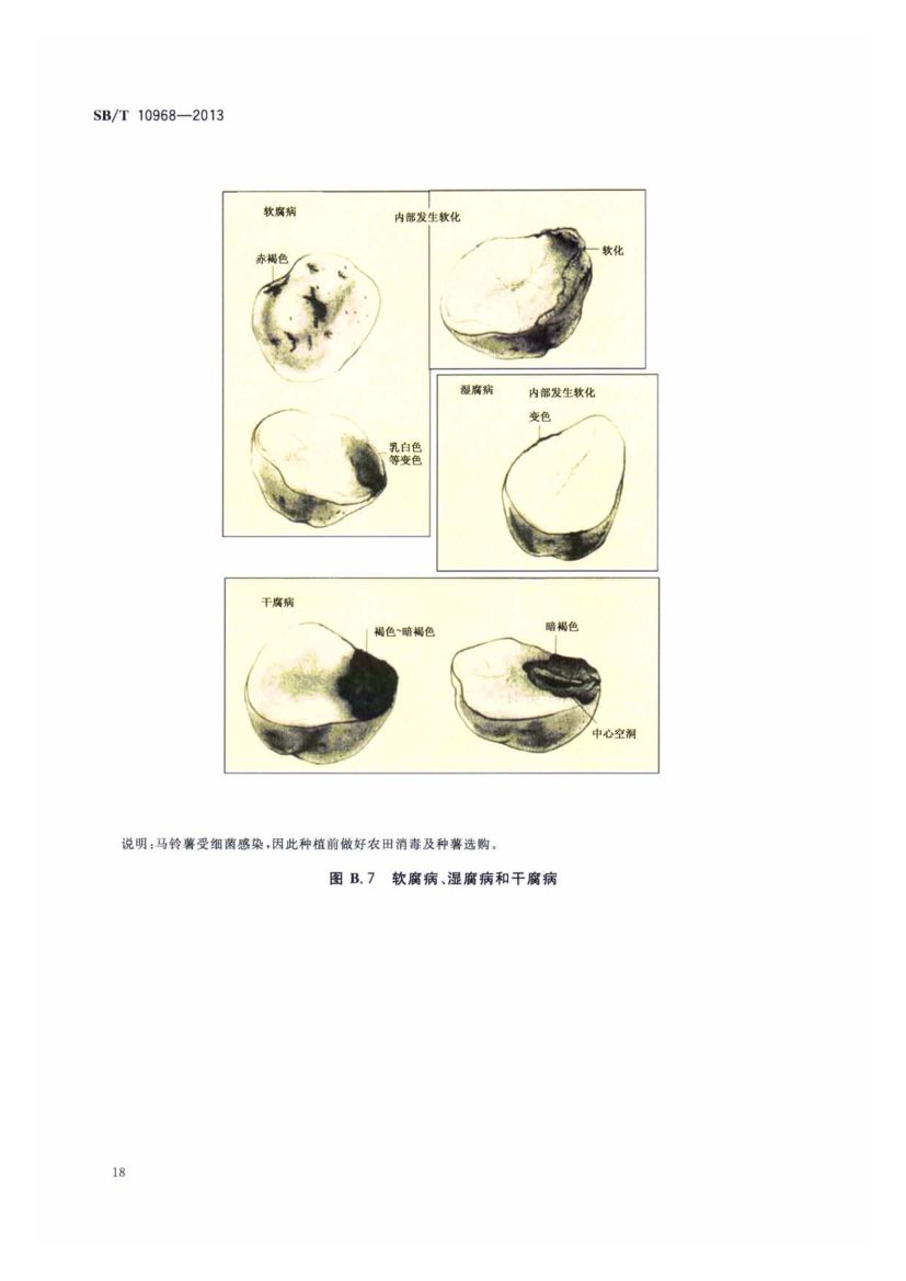 加工用马铃薯流通规范SBT10968-2013第21页