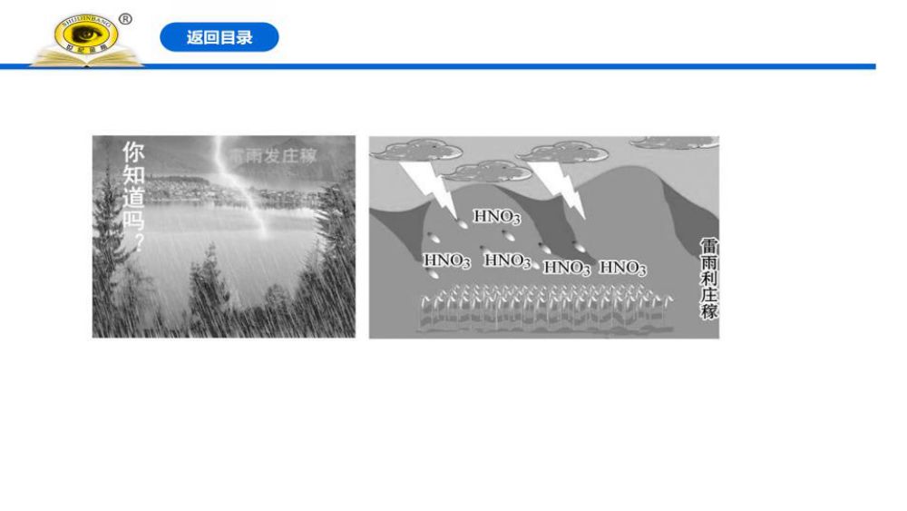 《氧化剂和还原剂》教学课件第10页