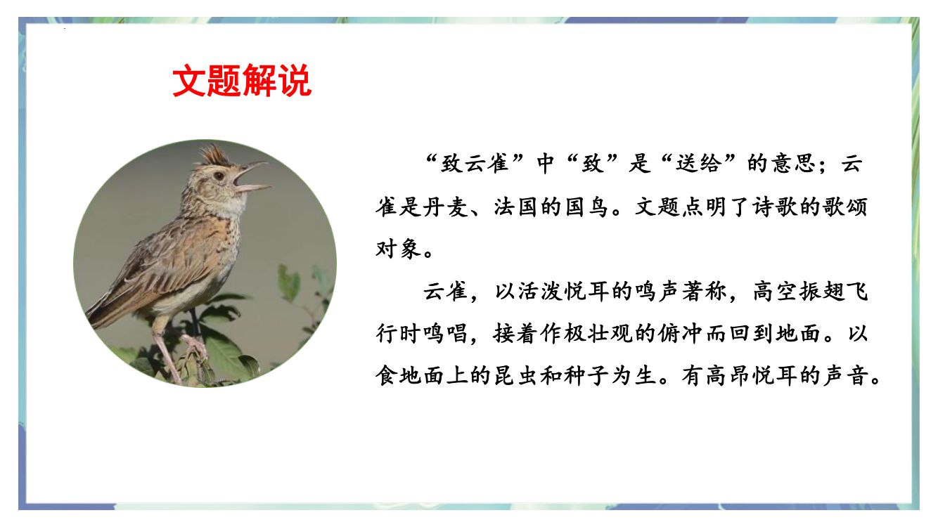 《致云雀》教学课件第9页