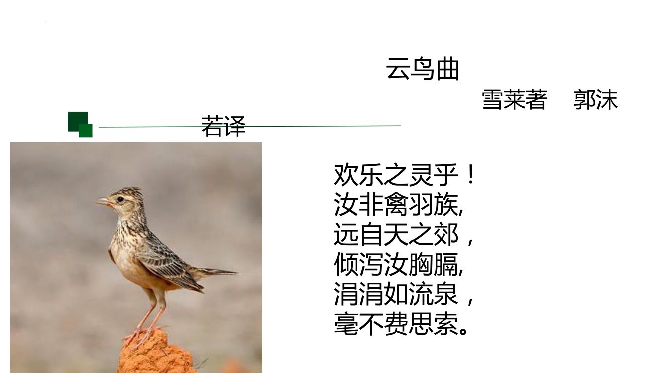 《致云雀》教学课件第42页