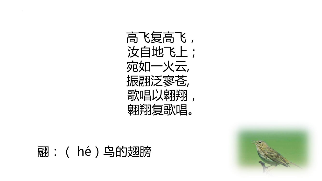 《致云雀》教学课件第43页