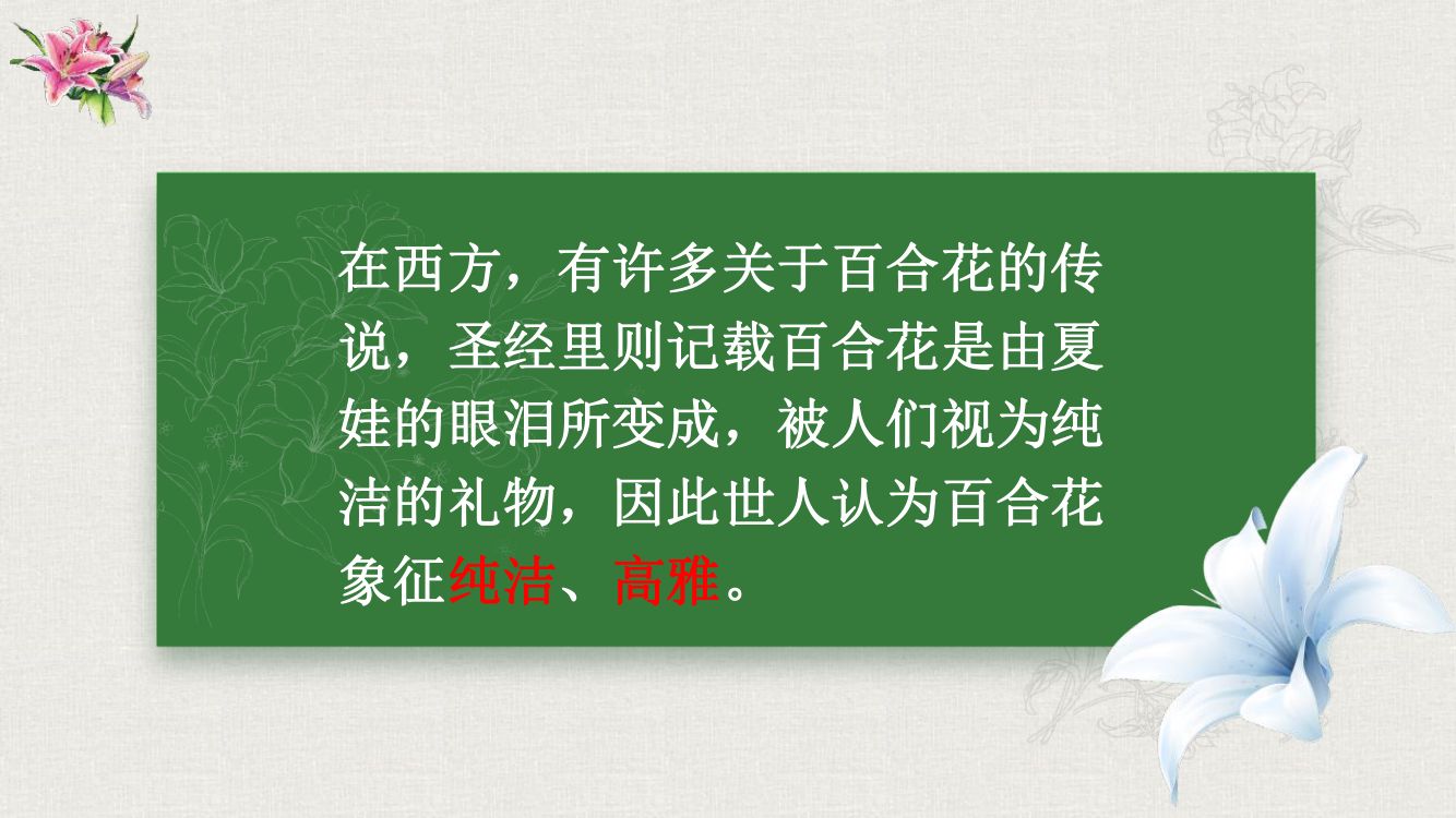 《百合花》教学课件第3页