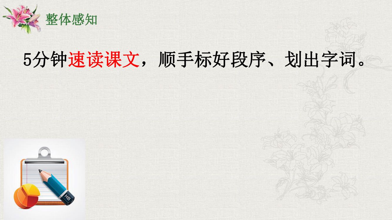 《百合花》教学课件第8页