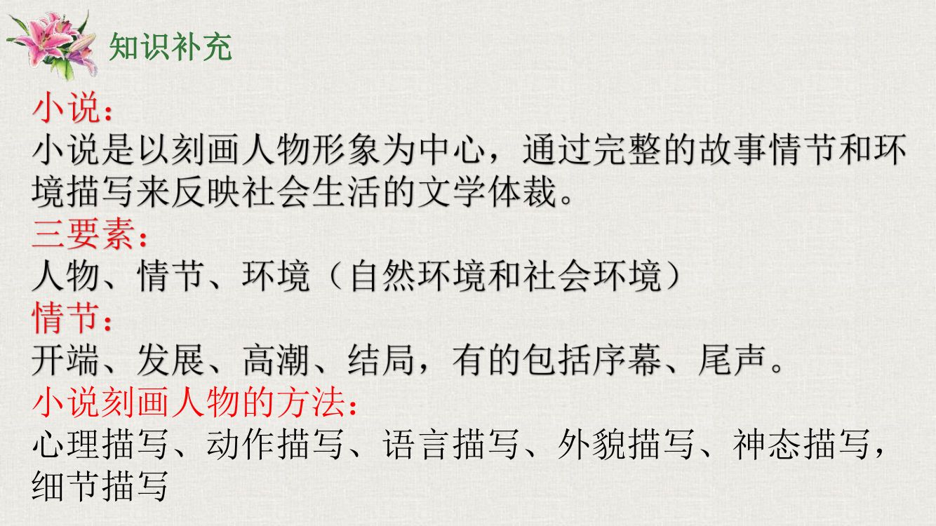 《百合花》教学课件第12页