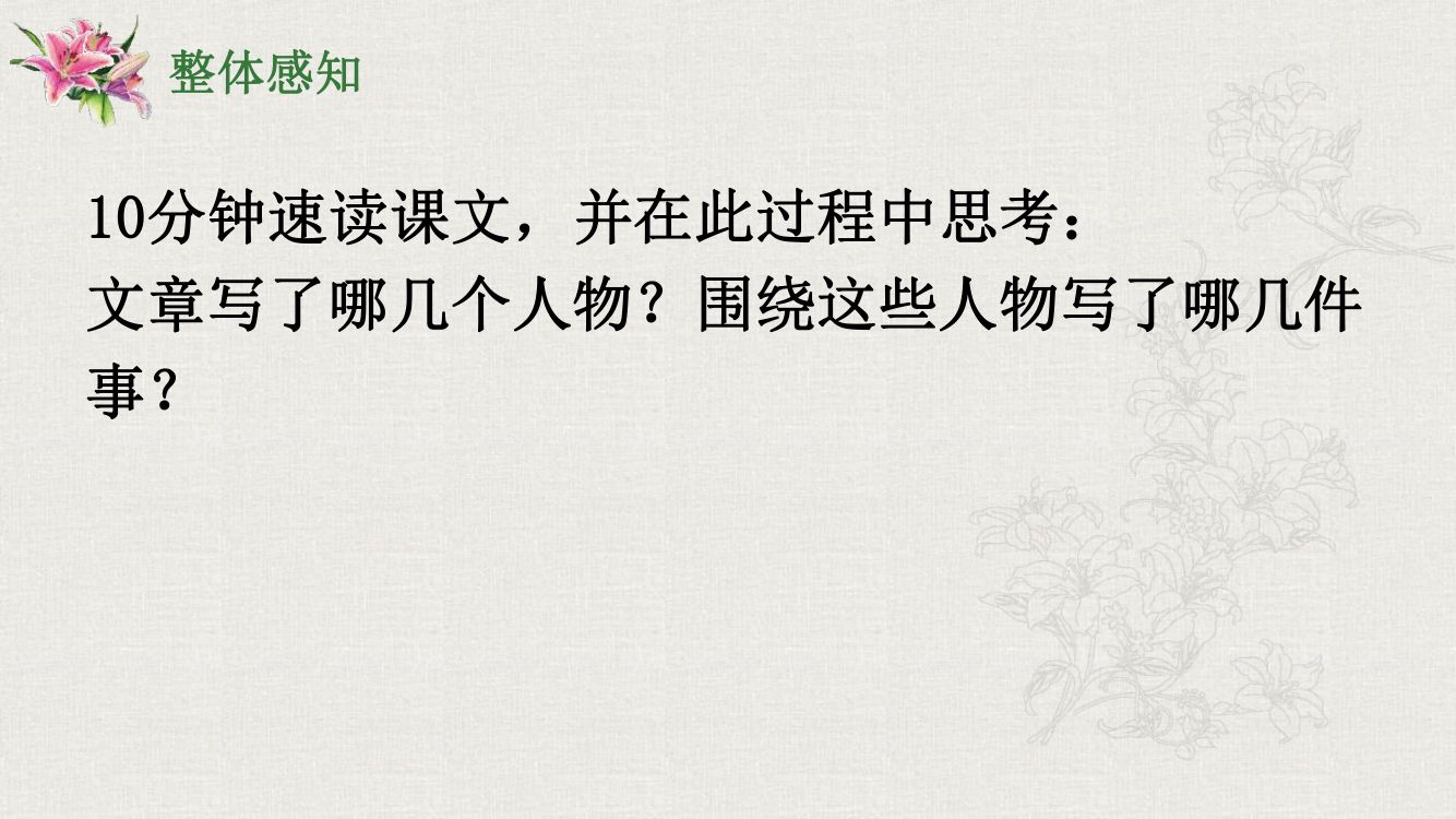 《百合花》教学课件第13页