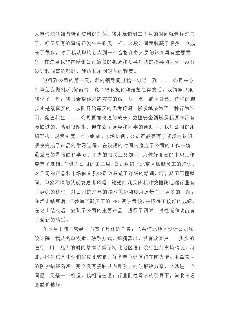 软件销售试用期总结范文第4页