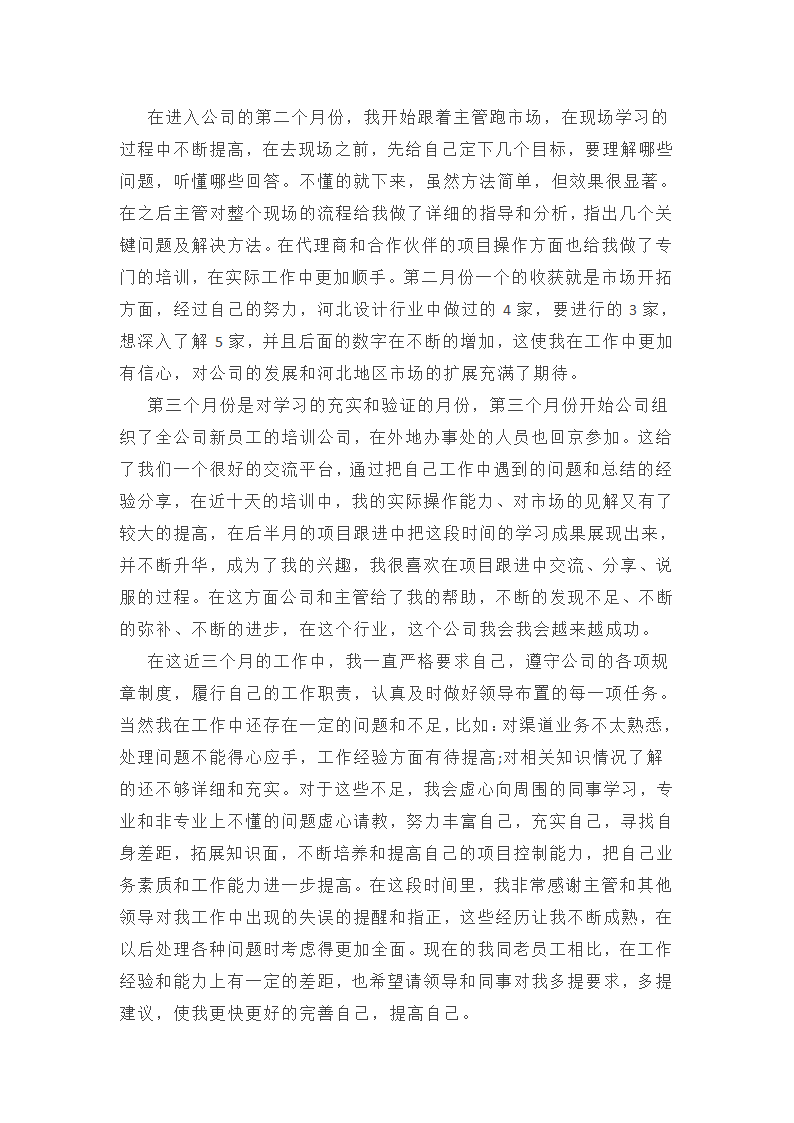 软件销售试用期总结范文第5页