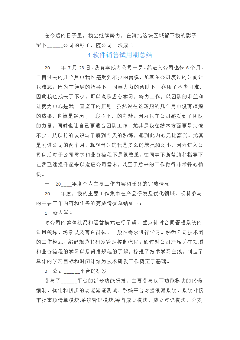 软件销售试用期总结范文第6页