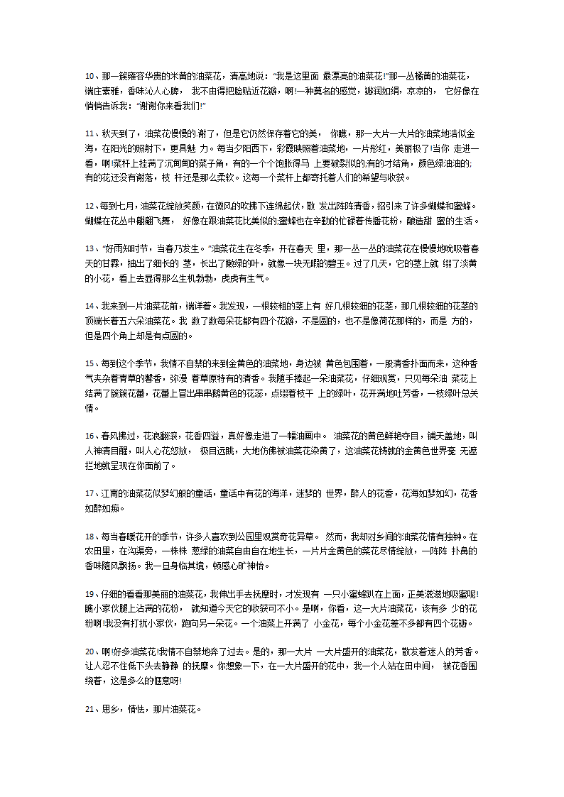 描写油菜花优美句子第2页