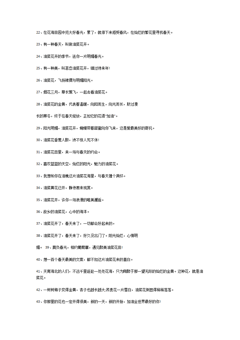 描写油菜花优美句子第3页