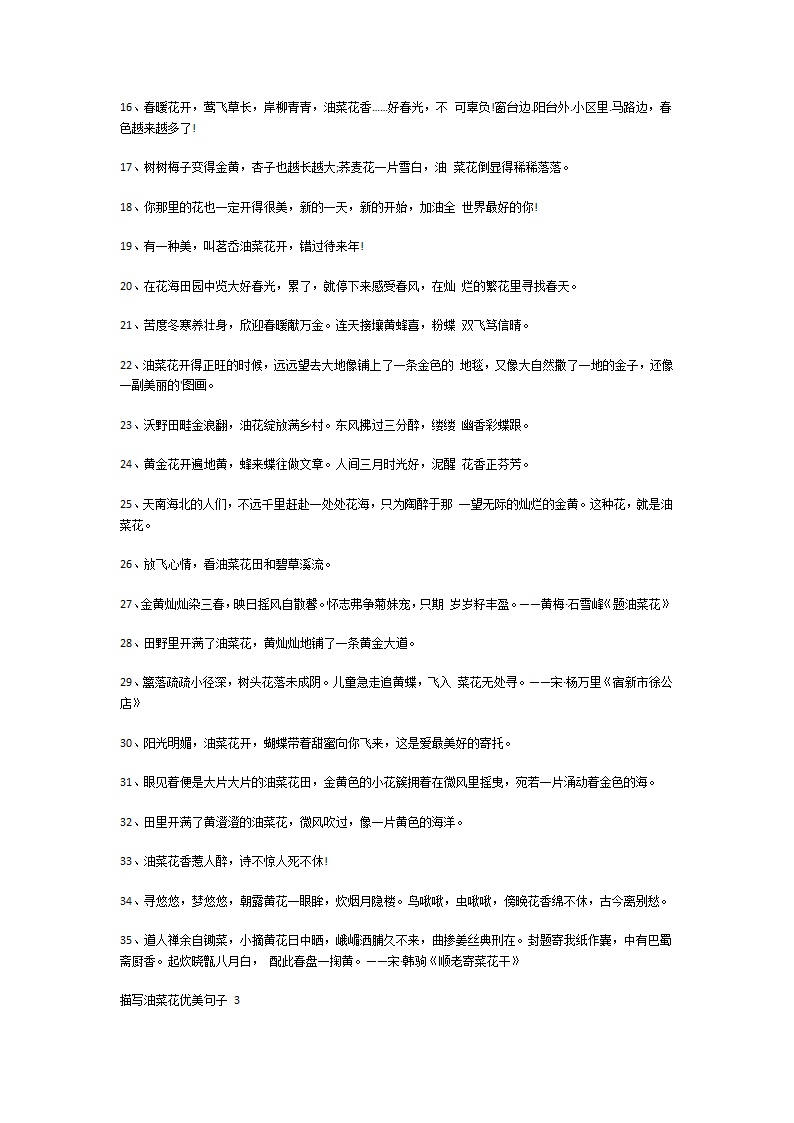 描写油菜花优美句子第5页