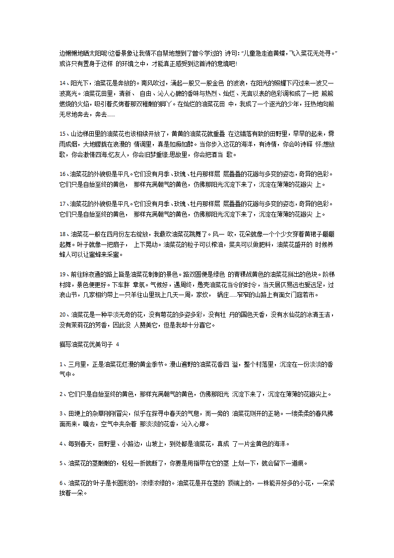 描写油菜花优美句子第7页