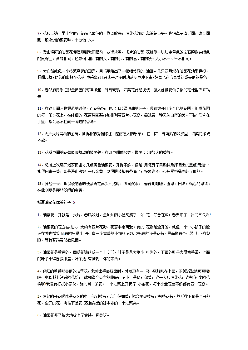 描写油菜花优美句子第8页