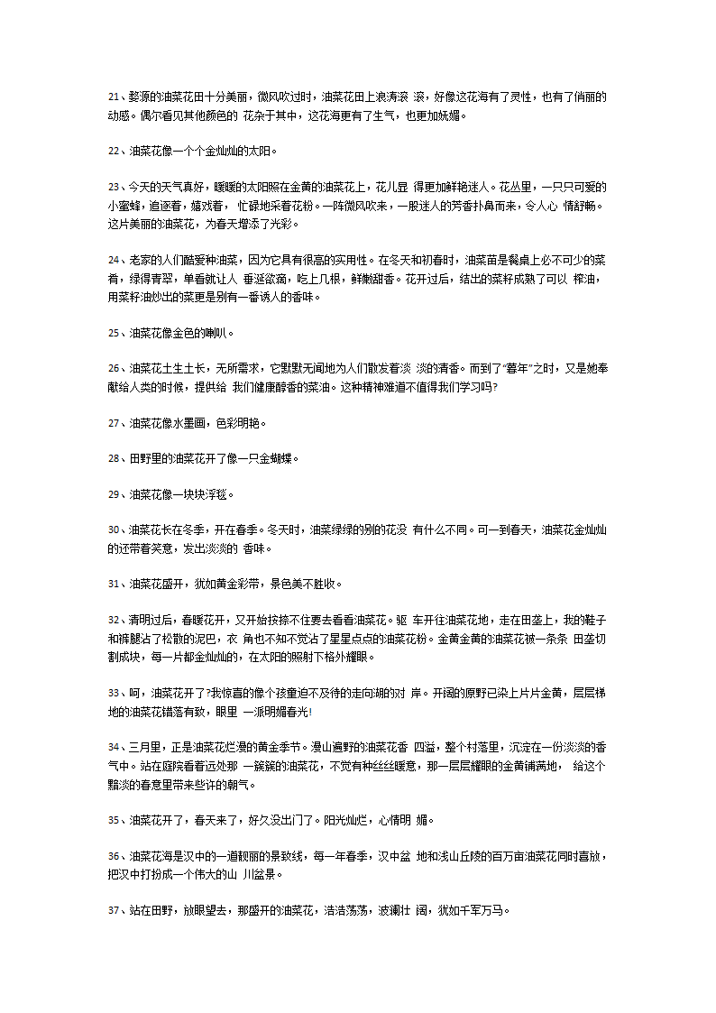 描写油菜花优美句子第10页