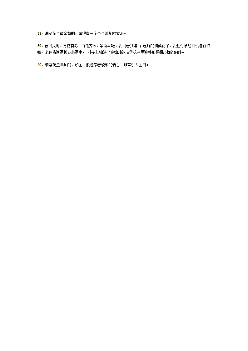 描写油菜花优美句子第11页