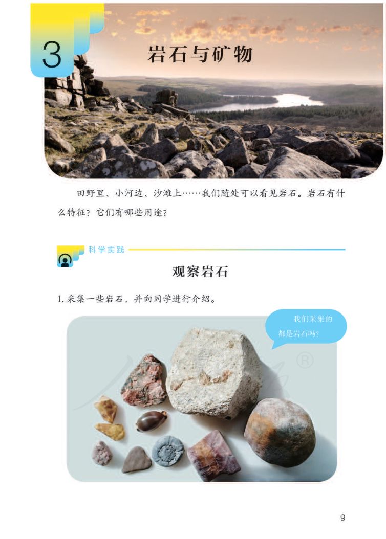 小学科学三年级下册人教版课本第11页