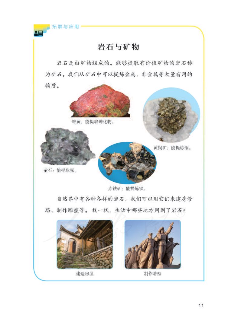 小学科学三年级下册人教版课本第13页